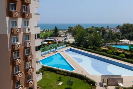 LIPARIS SUN FLOWER 2