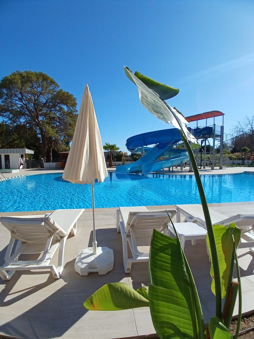 <p>For sale. Beautiful apartment in a new complex 300 meters from the sea. Avsallar, the cleanest sandy beaches and pine forest are found only in this area. Fresh air, peace and quiet, and all the amenities of a 5-star hotel right in the complex!</p>

<p>Indoor and outdoor pools</p>

<p>Hammam</p>

<p>Sauna</p>

<p>Roman steam room</p>

<p>Indoor and outdoor parking</p>

<p>Relaxation areas for children and adults</p>

<p>BBQ areas</p>

<p>Water slides</p>

<p>Fitness</p>

<p>Secured area</p>

<p>Sandy beaches 300 meters away</p>

<p>One-bedroom apartment with a living room and kitchen</p>

<p>Fully furnished with furniture and appliances</p>

<p>Designer renovation</p>

<p>Spacious glazed balcony overlooking the pools</p>

<p>Underfloor heating</p>

<p>Price: &euro;95,000</p>

<p>No additional investment required! Everything is already included!</p>
